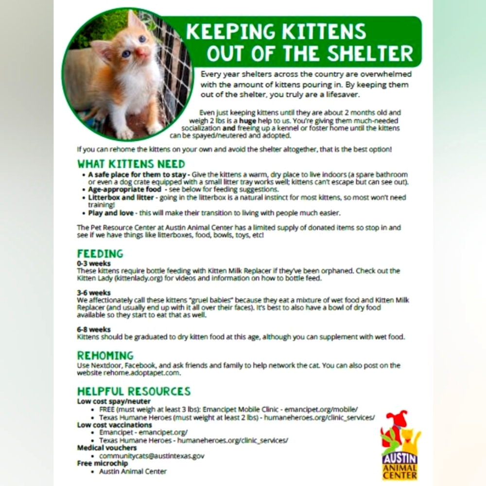 Kitty Colony,  Feral, Stray Care and TNR Guidelines - Picture 2 of 4